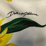 Dolce & Gabbana Dress Photo 7