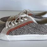 Madewell Sidewalk Low-Top Sneakers in Spotted Calf Hair Photo 3