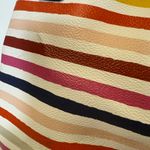 Liz Claiborne Colorful Striped Shoulder Bag Photo 3