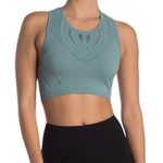 Alo Yoga Lark Crop Top Seagrass Heather Blue Green Small Slashed Knit Racerback Photo 0