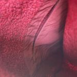 Outdoor Voices Megafleece Himalayan Seasalt Pink Pullover Fleece Jacket XS Photo 4