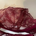 NEW Muse by Coco De Mer Bra 34B Maroon Lace Unlined Underwire Sheer Feminine Size undefined Photo 3