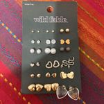 Wild Fable Earrings Photo 0