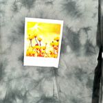 Polaroid  Grayish Green Pullover Cropped Top Small Photo 2