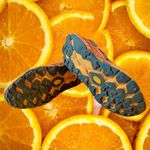 Hoka  Speedgoat 5 Women's Trail Running Shoes Teal Orange Size 8.5 Photo 6