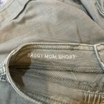 American Eagle  Outfitters Sage Green Women's Cargo Shorts Photo 3