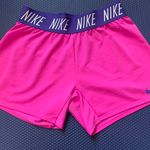 Nike Pink and Purple Shorts Photo 0