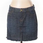 The Limited  Denim Frayed Skirt Photo 0