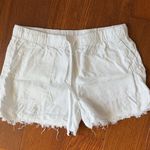 FOR THE REPUBLIC Shorts Photo 0