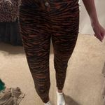 Divided Zebra Jeans Photo 1