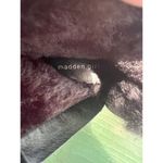 Madden Girl Carra Combat Boots Black Faux Suede Fur Lined Moto Size 8.5 NWT Photo 5