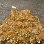 Stacees Shine in this elegant gold lace dress, perfect for any special occasion. The intricate lace detailing adds a touch of sophistication. Photo 5