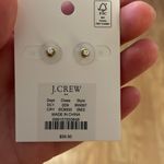 J.Crew  Tiny crystal waterfall earrings Photo 2