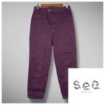 Tuckernuck SEA New York Kali Quilted Ankle Pants Eggplant Purple 4 Quiet Luxury Photo 2