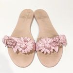 Sophia Webster 42/ US Size 12 Lilico Slide Pink Floral Sandal Flip Flop Photo 2