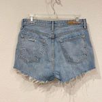 GRLFRND Helena Distressed Shorts Size 28 EUC Photo 5