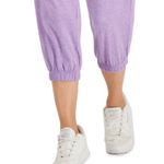 Ideology ID  Performance Cropped Jogger Pants, Purple Plus Size 2X New w/Tag Photo 2