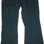 prAna New NWT Womens 12 Pants Sancho Slim Organic Dark Sky Blue Hike Climb Walk Photo 0