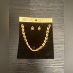 Bijoux Terner NWT  Gold Chain Link Necklace and Earrings Jewelry Set Chunky Photo 3