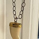 long horn pendant chain Photo 0