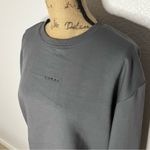 Koral NWOT Grey Size S Levi Crewneck Pullover Terry Sweatshirt Relaxed Gym Photo 1