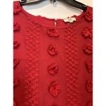 Entro Modest High Neck Lined Sheer Sleeve Blouse Top Dotted Swiss Boho Size Xl Photo 1