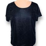 J. Crew Factory Black Velvet Scoop Neck Short Sleeve Top Size Medium Black Photo 0