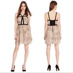 NWT Coast Women's Snake Print Floaty Strappy Fit & Flare Dress Blush Pink Size 4 Black Photo 1