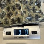 Soft Surroundings  Velvet Long Sleeve Button Front Shirt Womens XS Green Polyeste Photo 12