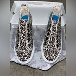 blowfish  Natural Pongo Cat Canvas Fray Distress Cheetah Tennis Shoes NEW Sz 8.5 Photo 6