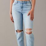 American Eagle Outfitters Light Blue Distressed Curvy Mom Jeans Photo 0