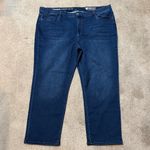 Avenue  Denim Dark Wash Stretchy Knit Denim Straight Leg Jeans Size 26 Photo 1