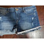 DL1961  Karlie Boyfriend Denim Short Bluegrass Size 29 Photo 9