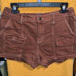 Wild Fable Brown Cargo Shorts Photo 0