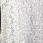 Talbots Floral Lace Overlay Long Sleeve Dress Cream Ivory Size 4 Photo 5