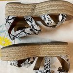 Bonnibel  Snakeskin Print Black & White Espadrilles Photo 9
