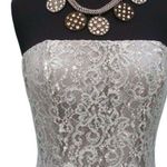 Cache  Nude Metallic Lace Strapless Event Dress Lined Shelf Bra New NWT $188 Photo 6