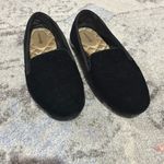 Birdies  Velvet Flats Photo 1