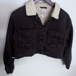 Stoosh  Chocolate Teddy Jacket with Ivory Collar Photo 0
