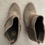 Ash  Suede Ankle Booties Photo 1