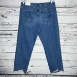 American Eagle  NWT Sz 18 34W Blue Denim Distressed ‘90s Straight High Rise Jeans Photo 1