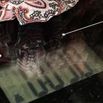 Pink Rose XL Women’s Patterned Blouse v neck tank top polyester Photo 4