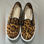 Fever Sole Leopard Print Slip Photo 2