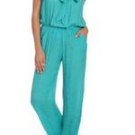 Arden B Blue jumpsuit Photo 0