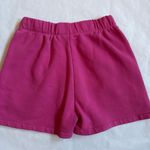 Hollister Social Tourist  Sweatshorts Photo 1