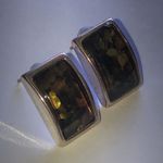Rectangular Faux Abalone Shell Earrings with Silver Tone Trim Green Photo 1