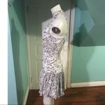 Elizabeth and James Printed Knee-length Dress sz6 Photo 2