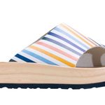 Free People NWOT  Striped Woodlands Platform Clog Sandal Photo 10