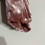 Altar'd State Women’s Altar’d State Fairycore 90s Velvet Long Sleeve Crop Top Womens Size XS Photo 1