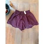 Anthropologie NWT Scallop-Hem Paperbag Tie Waist Shorts Size Medium Photo 1